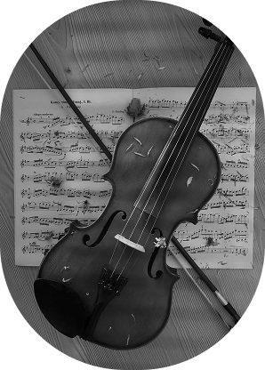 violin